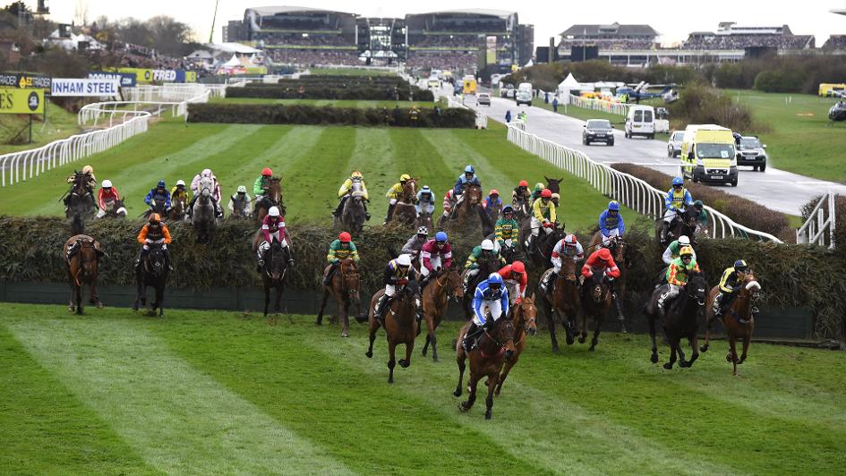 🐦Pigeon🐎Island🐦 tweet media