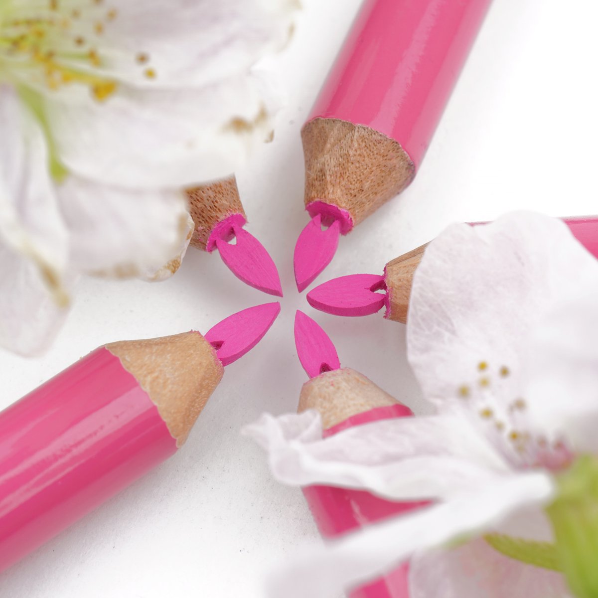 シロイ/鉛筆彫刻人✏ tweet media