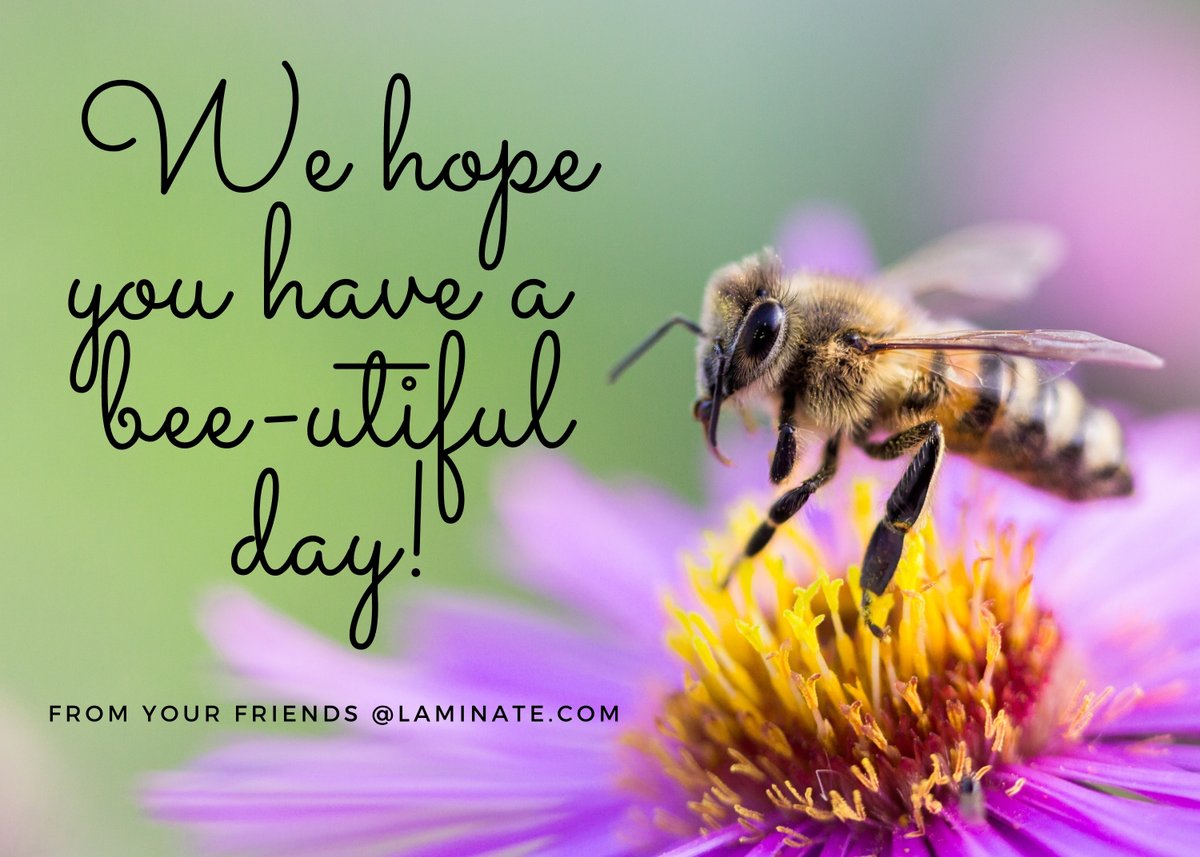 Laminate.com tweet media