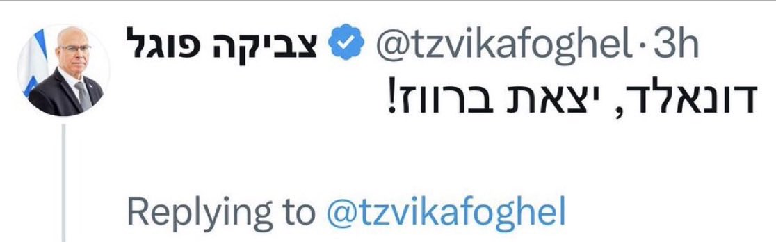 foreignlocal tweet media