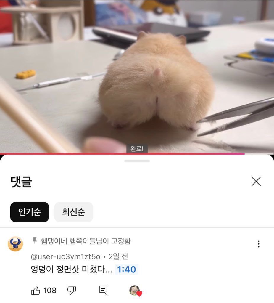 엉덩이 정면샷