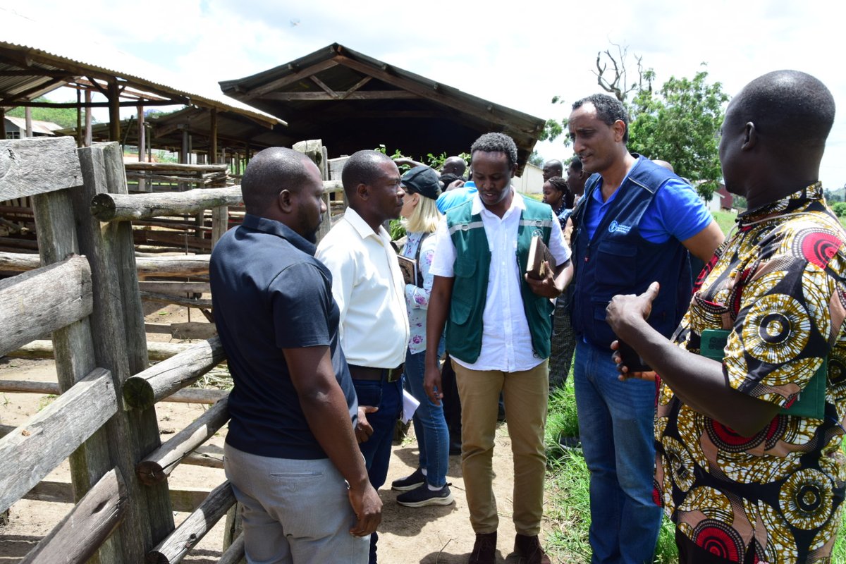 Mbarara Zonal Agric Research and Devt Institute tweet media