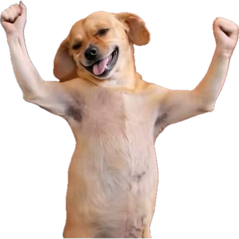 Paul Akanfe tweet media