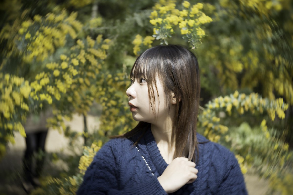 0728yuis's tweet photo. ミモザをぐ〜るぐるー🌿🌀🌀
model:白羽 海さん @umi_shiraha
#白羽海 #portrait #ポートレート
#ミモザ #Petzval #ぐるぐるボケ https://t.co/VIm6uSZIqR