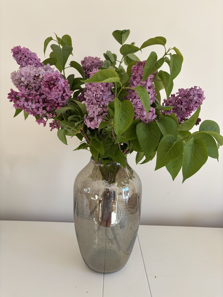 degond_m's tweet photo. @fred_manfrin Ici aussi j’ai même fait un bouquet https://t.co/4e9c42g6Xf