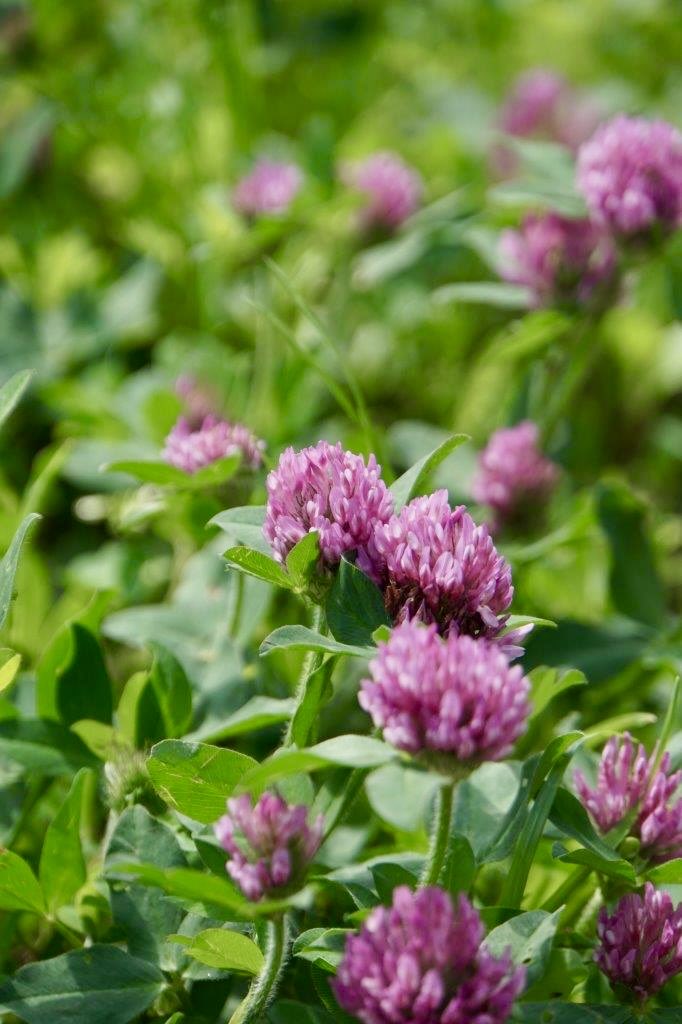 本当はやめた方がいいと思っているのに変えられないのは、機でないか、それとも外界の規則に従っているか。

外界の規則は、人の望みを叶えない様にするもの。
世間一般では常識と言われていることは、ほぼ偽りだ。

それが感覚が無い状態で知らされると恐慌となる。最もなことだ。