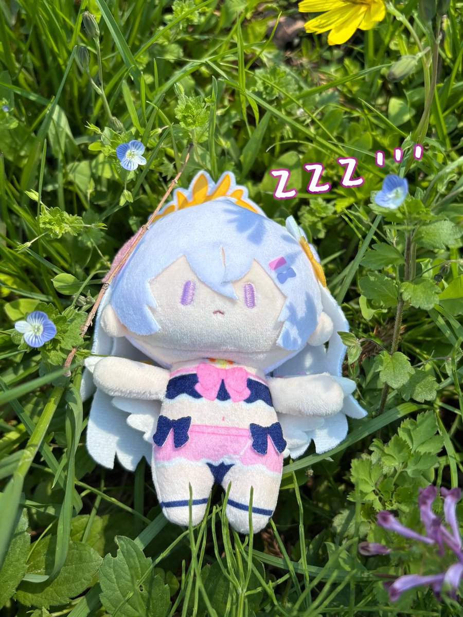 ほんきょー tweet media