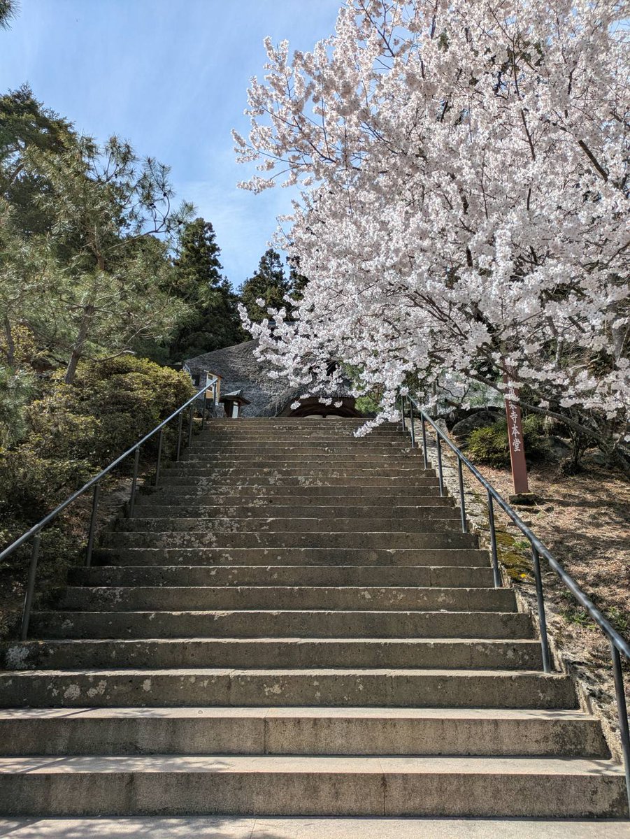 北向観音・常楽寺 tweet media
