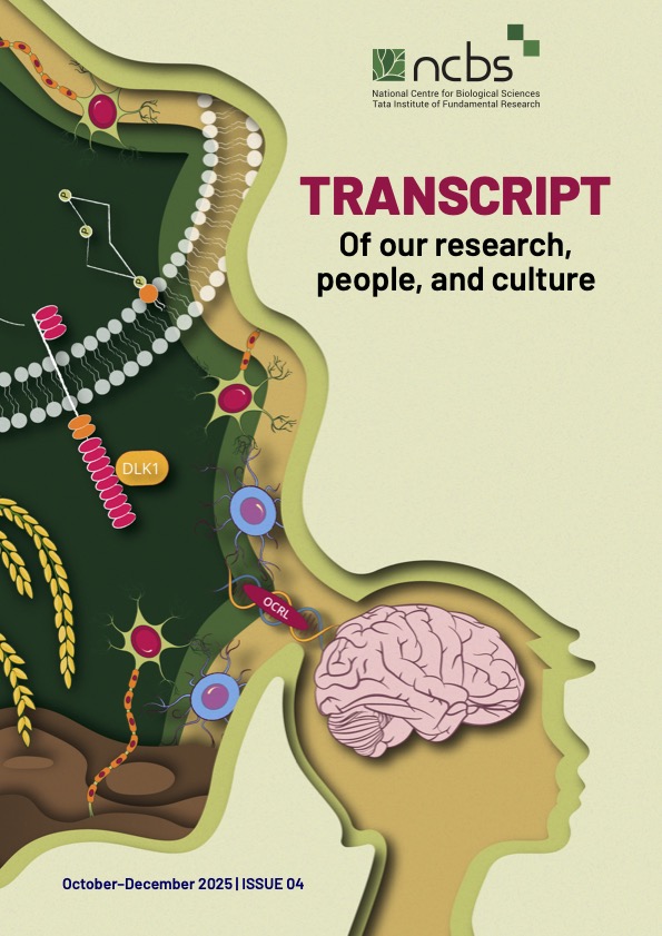 NCBS_Bangalore's tweet image. #Newsletter 
📢The 4th edition of Transcript-  our quarterly newsletter featuring stories of discoveries, ideas &amp;amp; the people at @NCBS_Bangalore is out now!  
 
📄Read here: ncbs.res.in/sites/default/… 

📩Subscribe to get the newsletter in your inbox bit.ly/4kEQxvh
