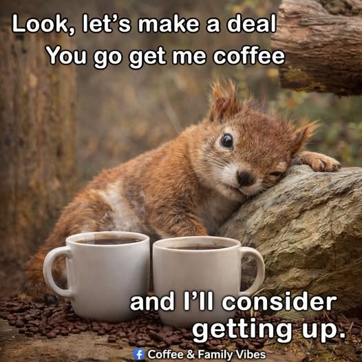 Life with Trisha G tweet media