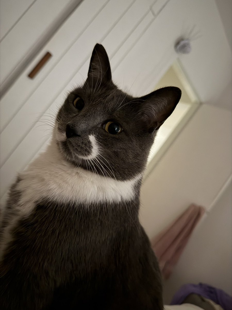 Luli Lacerna tweet media