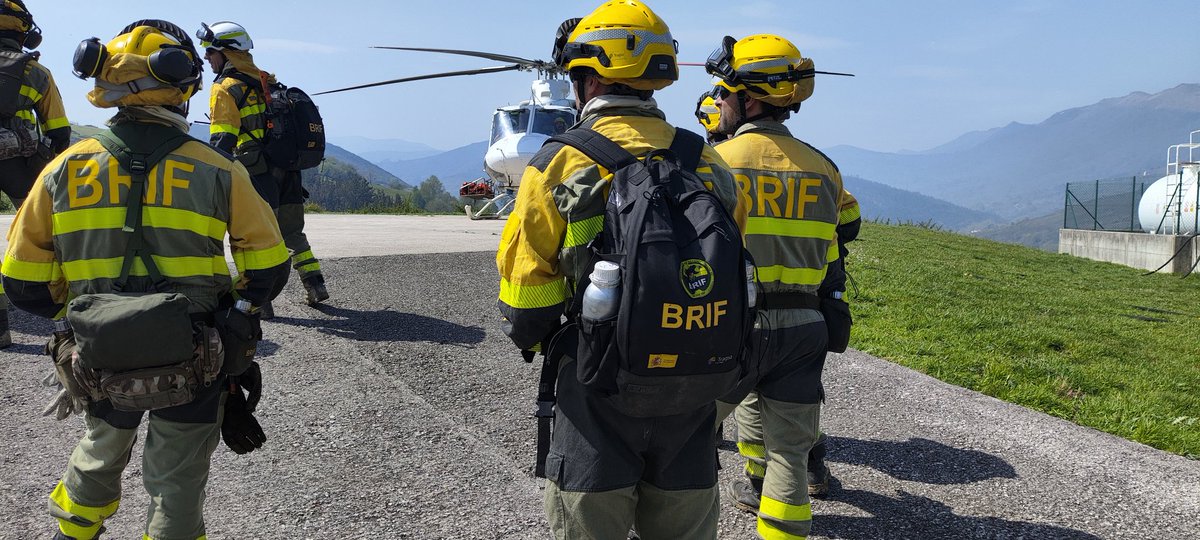 BRIF Ruente tweet media