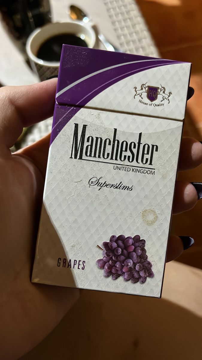 beatrice gonzalez tweet media