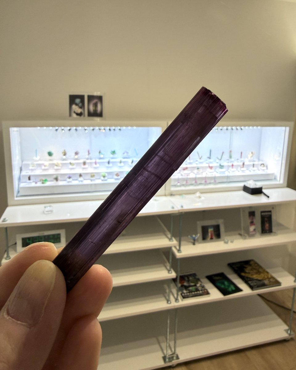 古田 @ トルマリン狂 tweet media