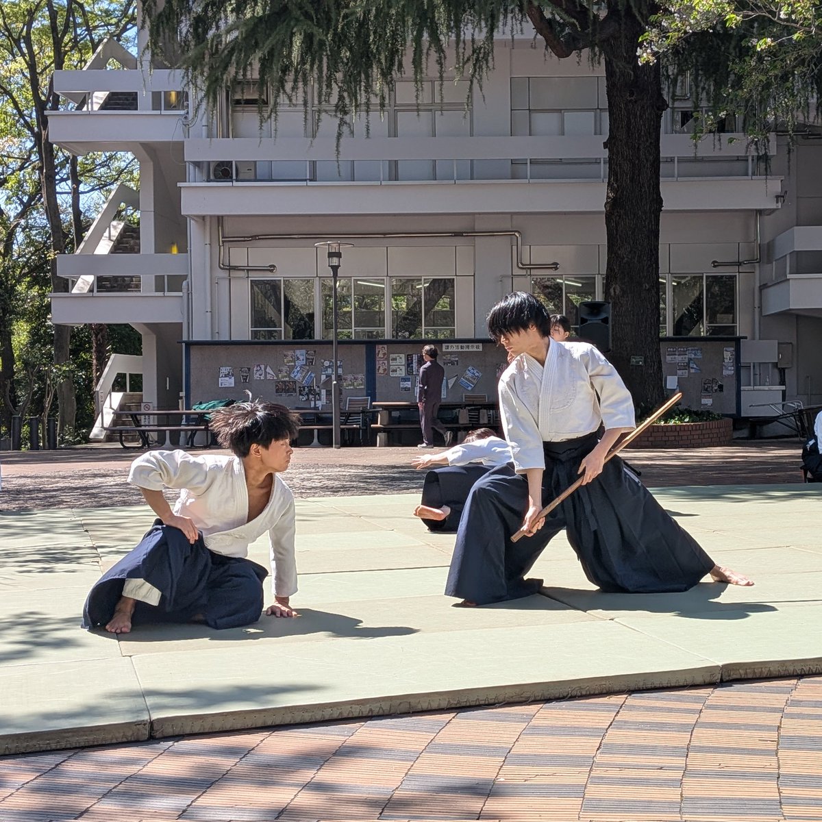 Gakushuin_aiki's tweet photo. こんばんは!学習院大学合気道部です🌸
新歓演武ありがとうございました!
格好いい演武の写真がありますので、ぜひご覧ください!

本日で新歓の本期間が終了いたしましたが、合気道部はまだまだ体験を受け付けております!
DM等でご連絡ください!
お待ちしております✨️

#春から学習院 https://t.co/3UZBSggPVJ