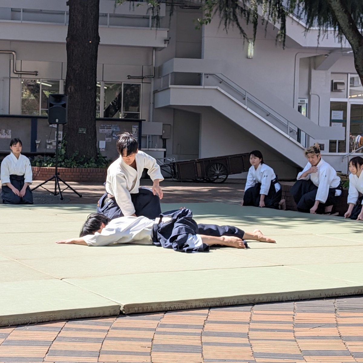 Gakushuin_aiki's tweet photo. こんばんは!学習院大学合気道部です🌸
新歓演武ありがとうございました!
格好いい演武の写真がありますので、ぜひご覧ください!

本日で新歓の本期間が終了いたしましたが、合気道部はまだまだ体験を受け付けております!
DM等でご連絡ください!
お待ちしております✨️

#春から学習院 https://t.co/3UZBSggPVJ