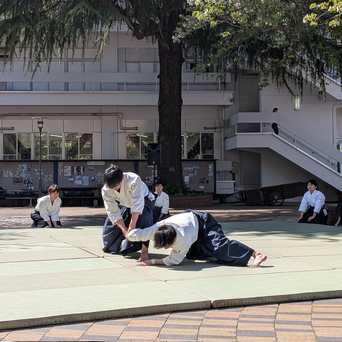 Gakushuin_aiki's tweet photo. こんばんは!学習院大学合気道部です🌸
新歓演武ありがとうございました!
格好いい演武の写真がありますので、ぜひご覧ください!

本日で新歓の本期間が終了いたしましたが、合気道部はまだまだ体験を受け付けております!
DM等でご連絡ください!
お待ちしております✨️

#春から学習院 https://t.co/3UZBSggPVJ