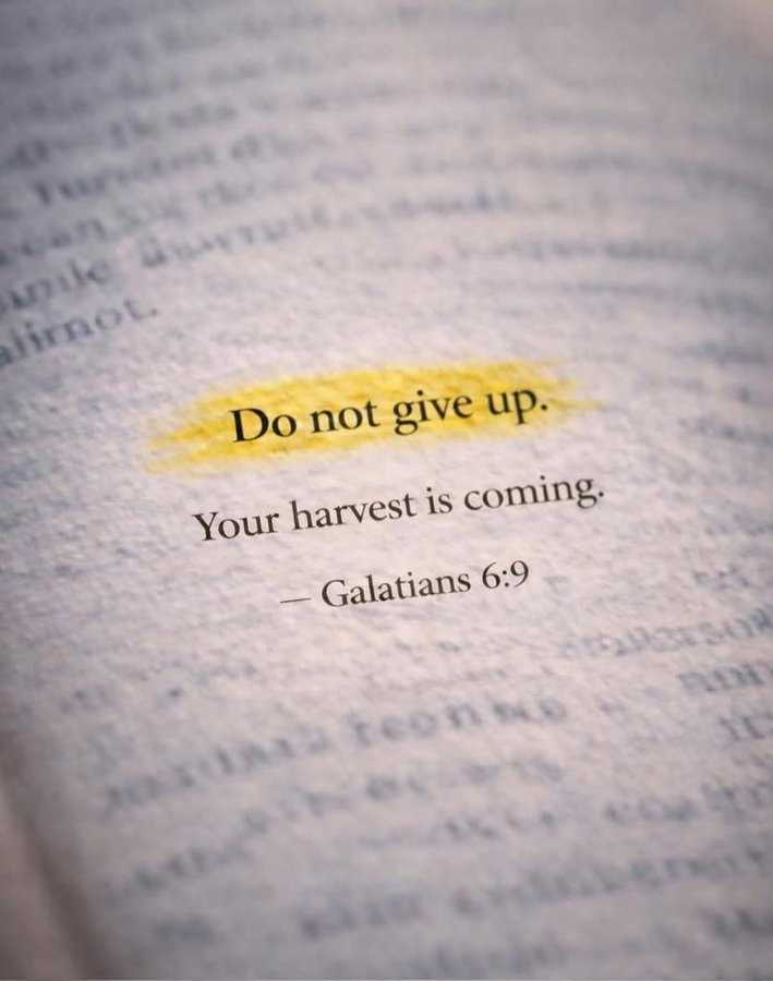 JesusisChristX's tweet photo. Trust God https://t.co/bCWZyN12hj