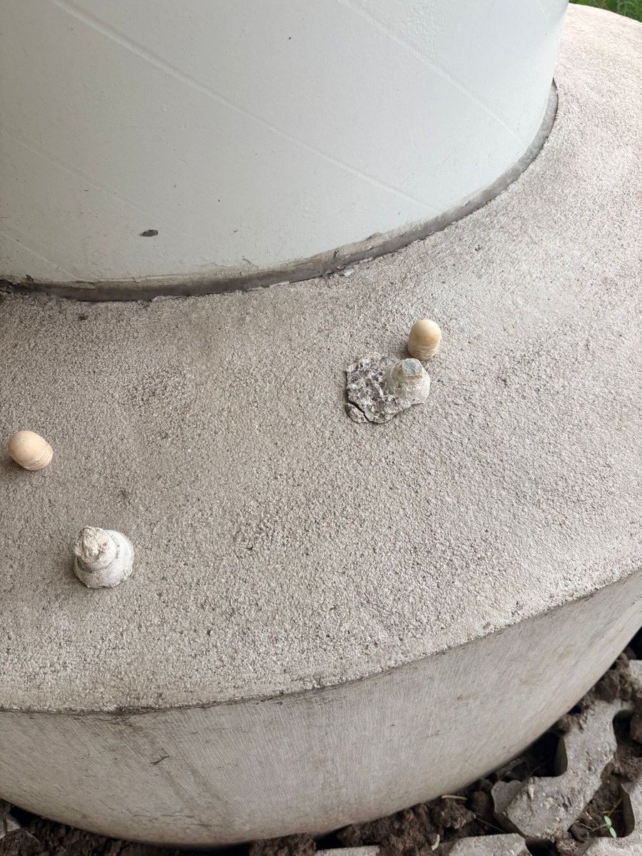 Rijkswaterstaat Noord-Nederland tweet media