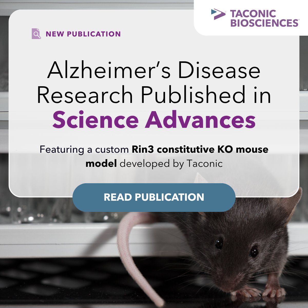 Taconic Biosciences tweet media