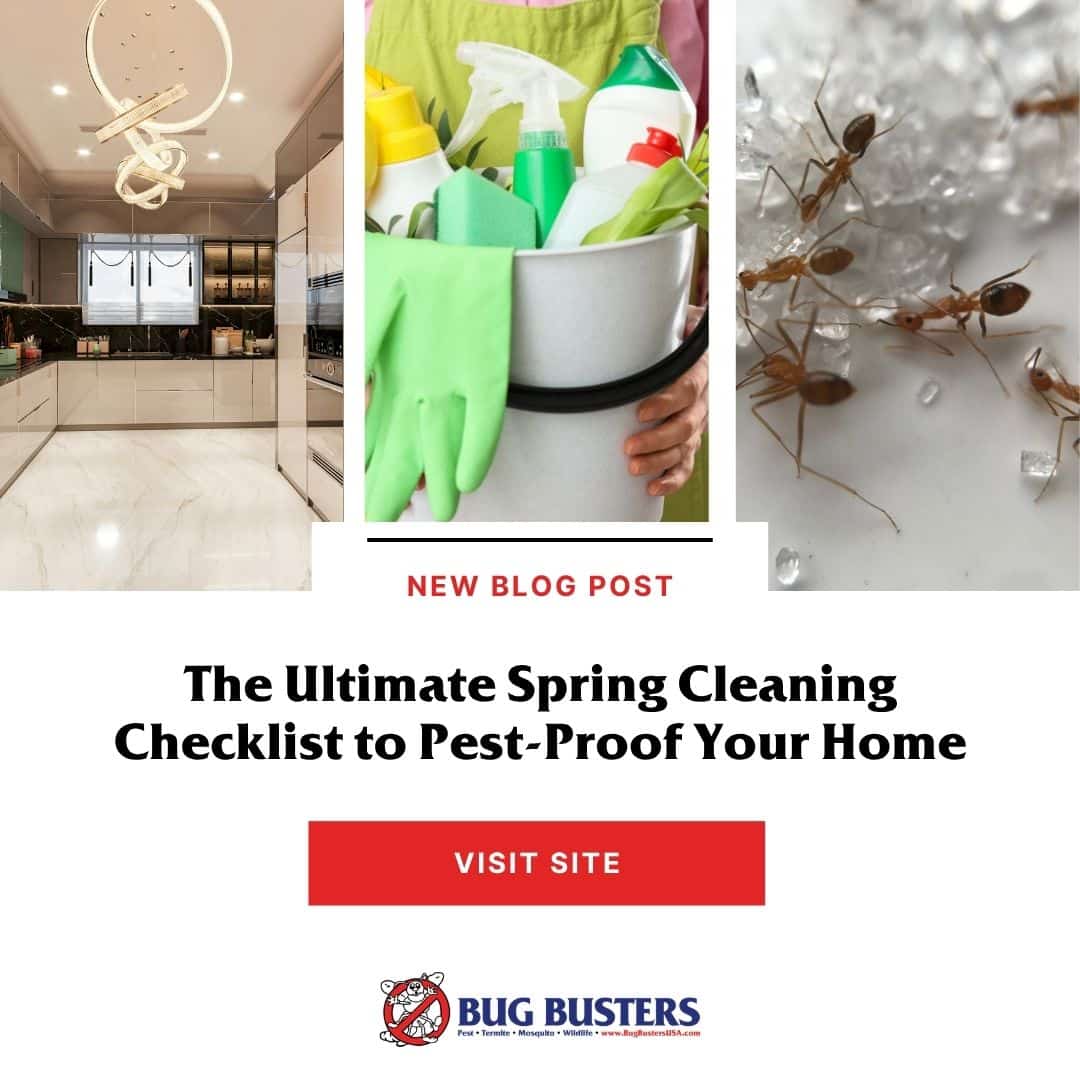 Bug Busters, Inc. tweet media