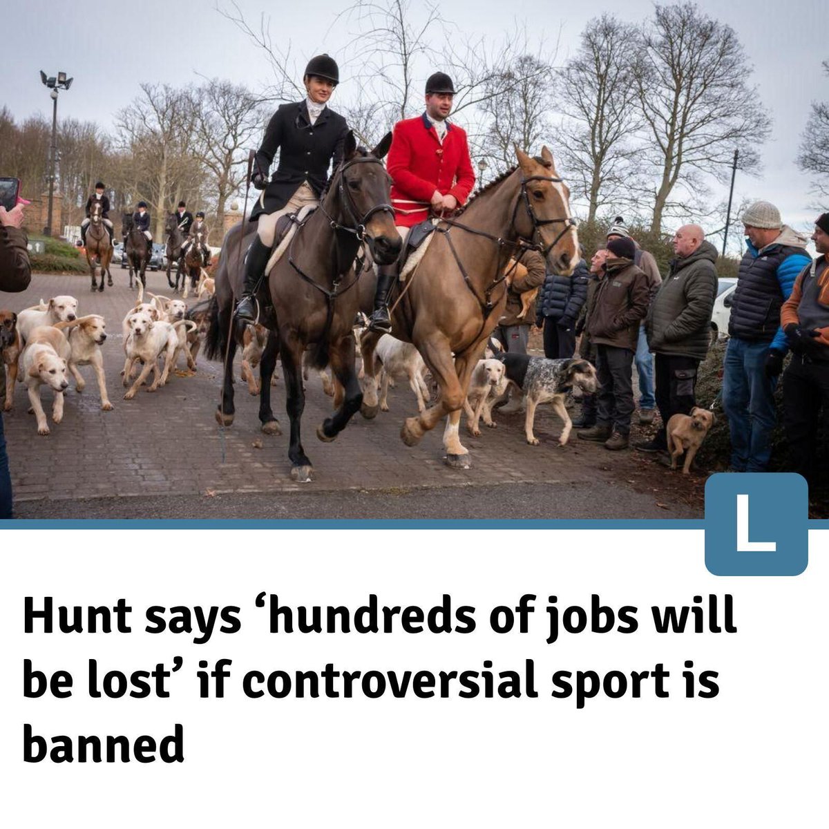 Protect the Wild tweet media