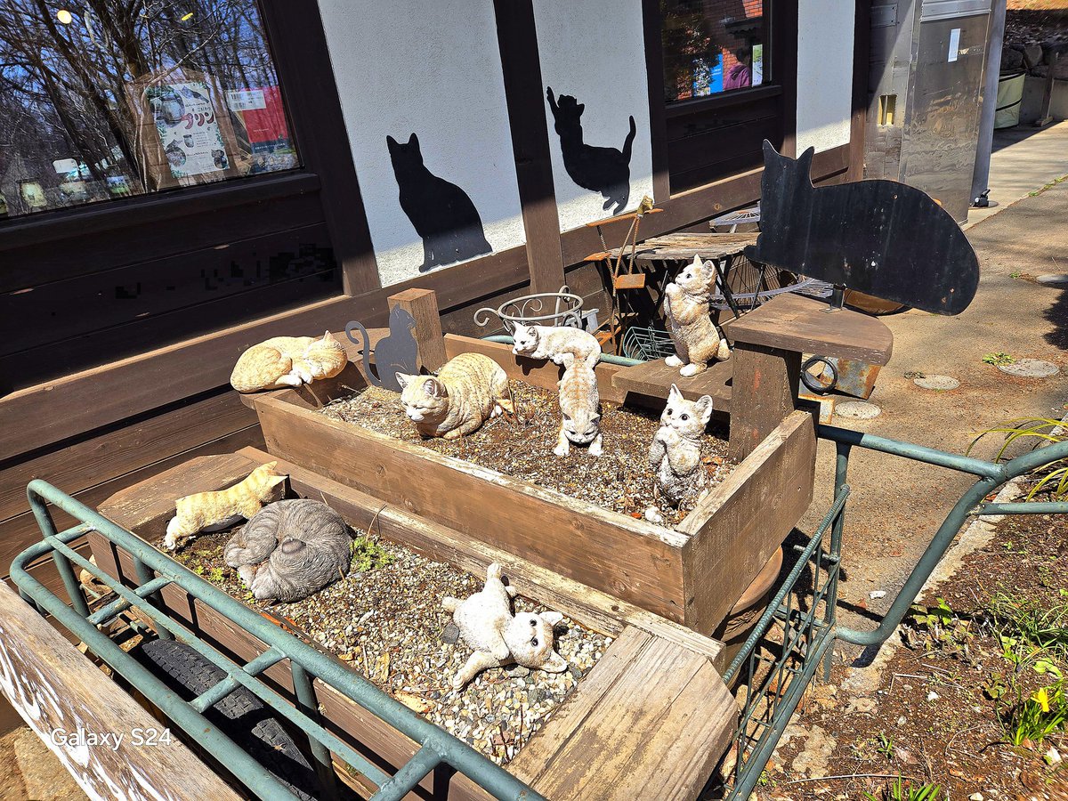 放課後ジオラマ倶楽部 tweet media