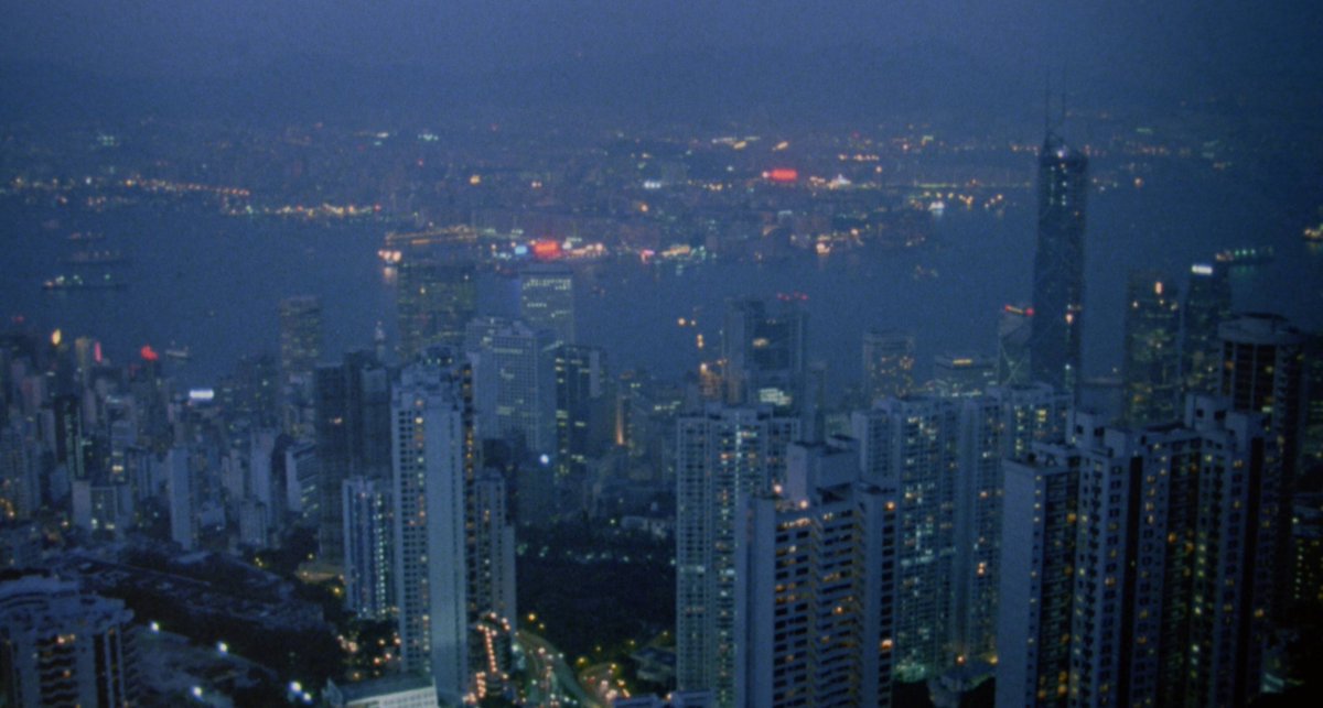 Arrow Video tweet media