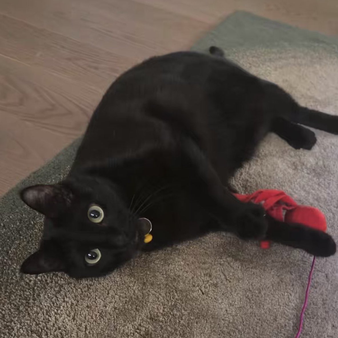 🍯 ⁷ ᴰ² tweet media