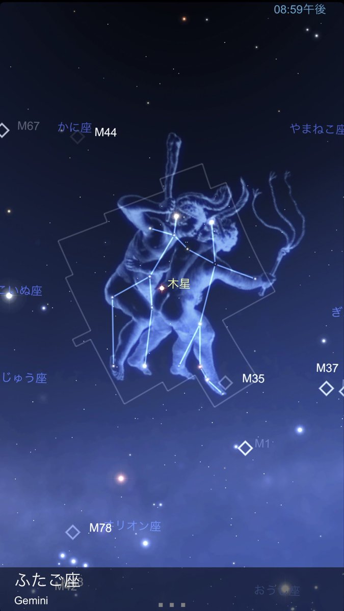 goody__jp tweet media