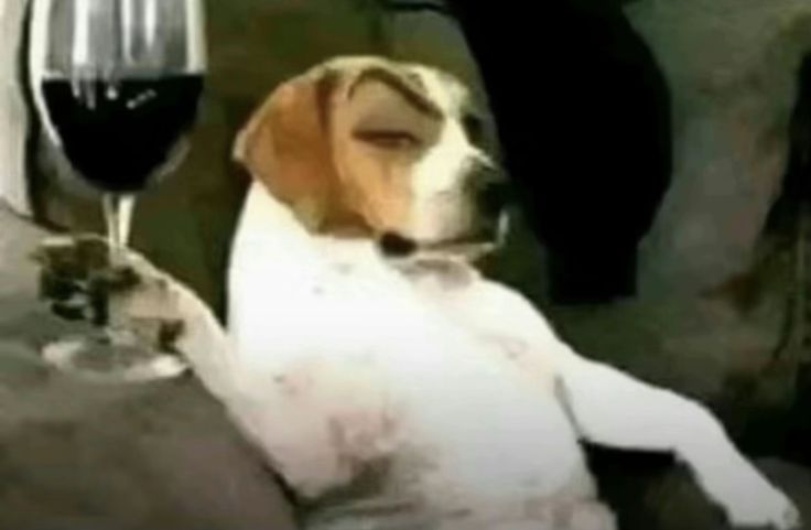 𝘮𝘪𝘯𝘮𝘪𝘯⁷ 𐔌՞. .՞𐦯 fishman island arc 。𖦹₊‧ ଳ tweet media