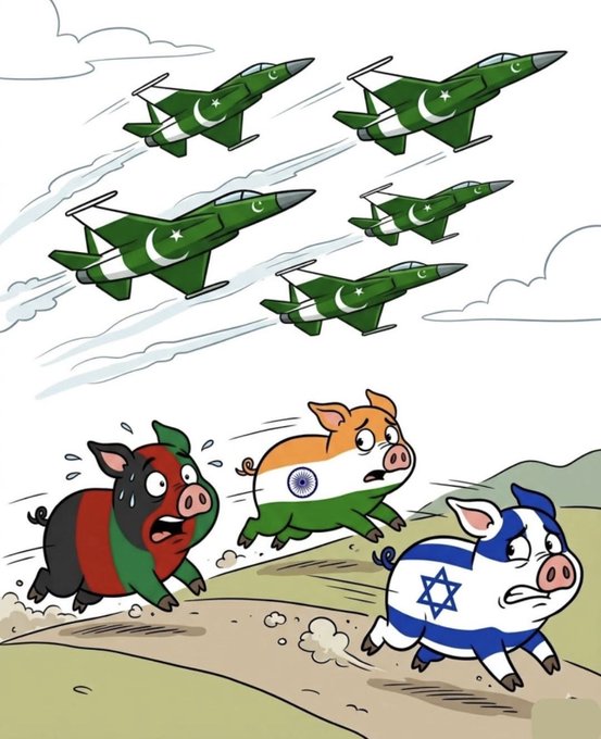 Muhammed Umer K tweet media