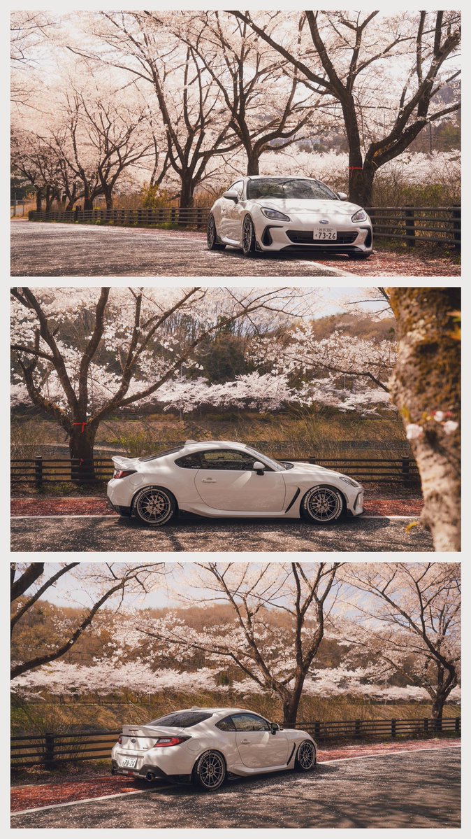 😄イキイキした毎日😄 tweet media