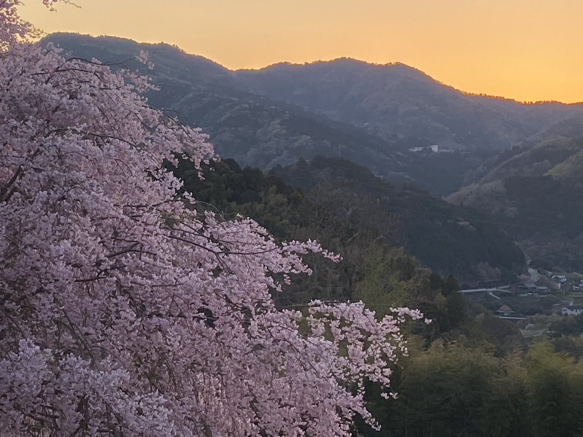 久保訓子 tweet media