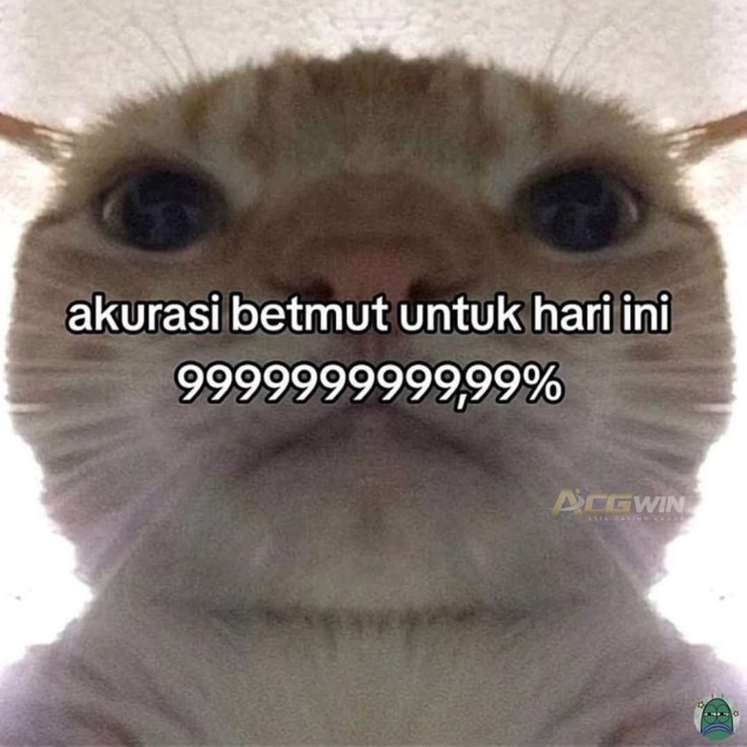 reeu 🍀 tweet media