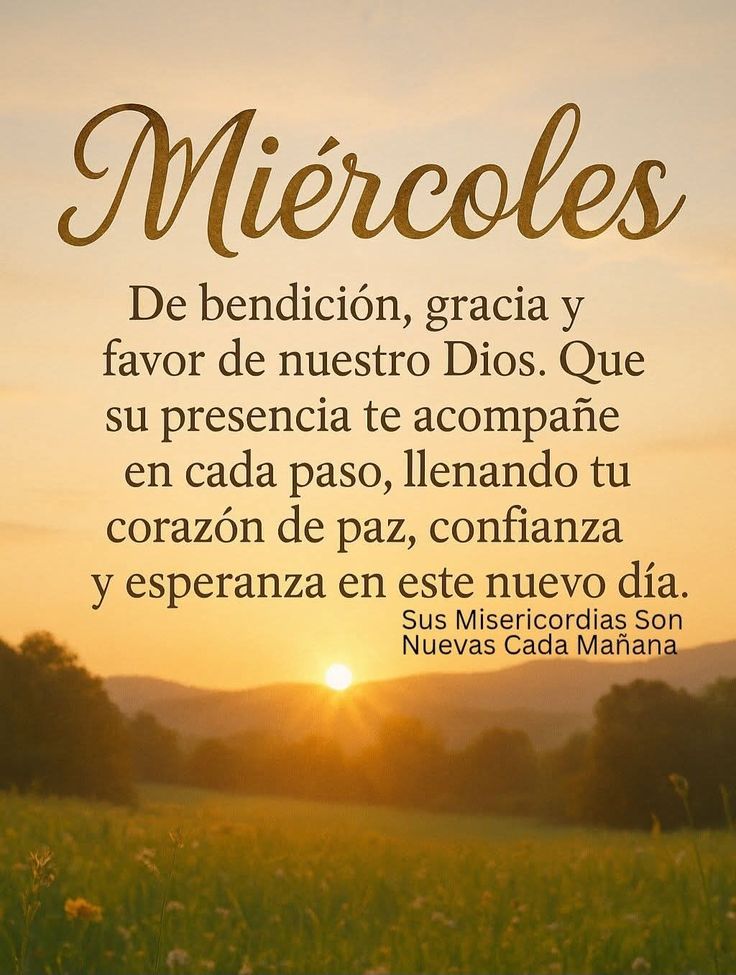 🦋🄼🄾🅃🄸🅅🄾🅂🦋 tweet media