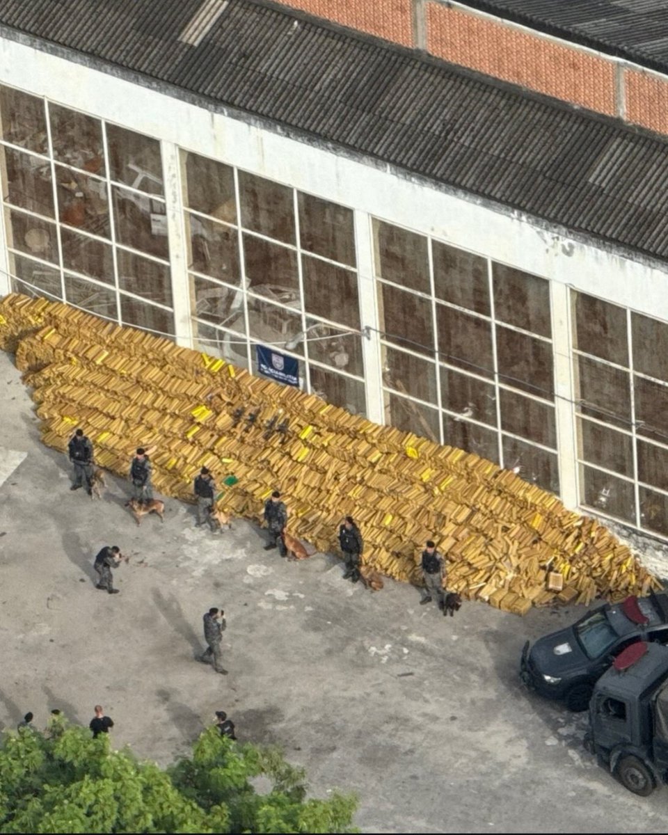 WORLD WAR RIO 🇧🇷🔥 tweet media