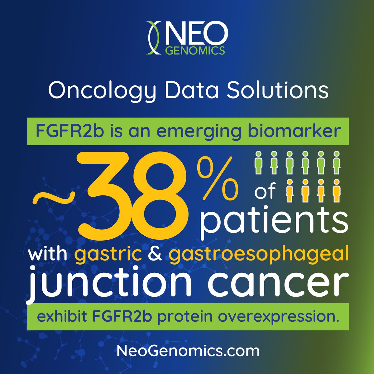 NeoGenomics's tweet photo. New white paper! From Data to Decision: Biomarkers Driving Precision Medicine: https://t.co/wAp0tYjktg. Gastric cancer remains the 4th leading cause of cancer-related death worldwide, but #biomarker-driven therapies are changing the game. 
 
#OncologyData #NeoGenomics https://t.co/fjytX90EgK