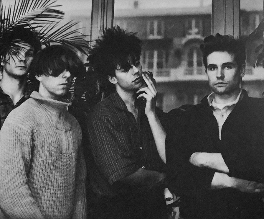 konvekse tweet media