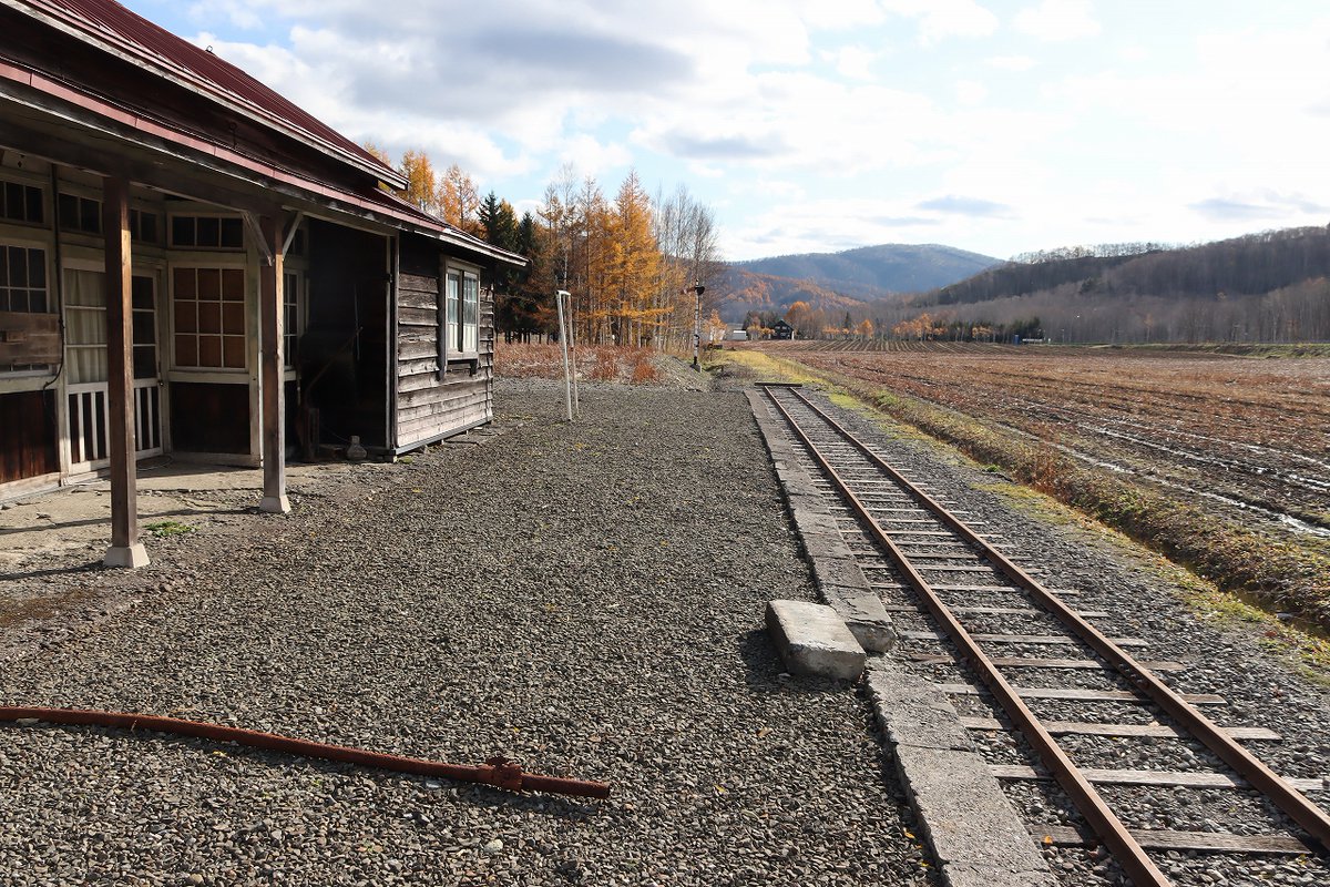 コミント人 tweet media