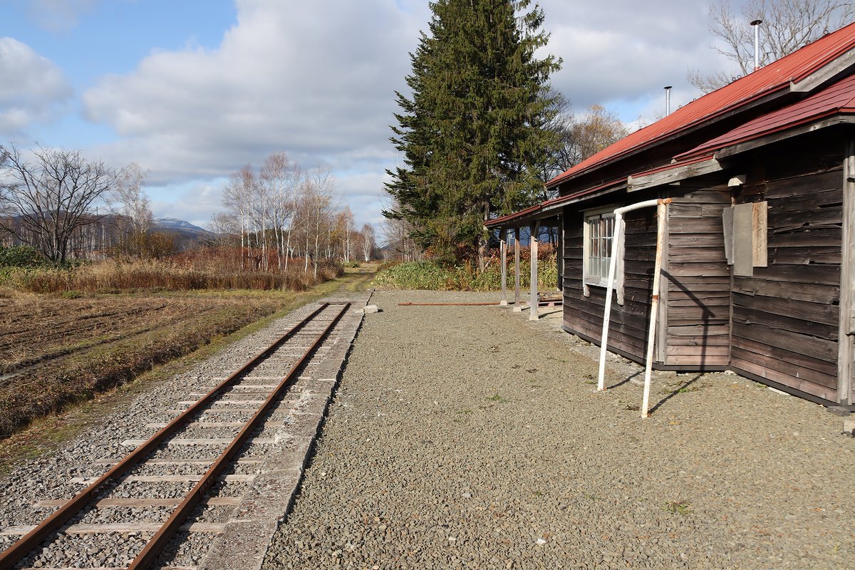 コミント人 tweet media