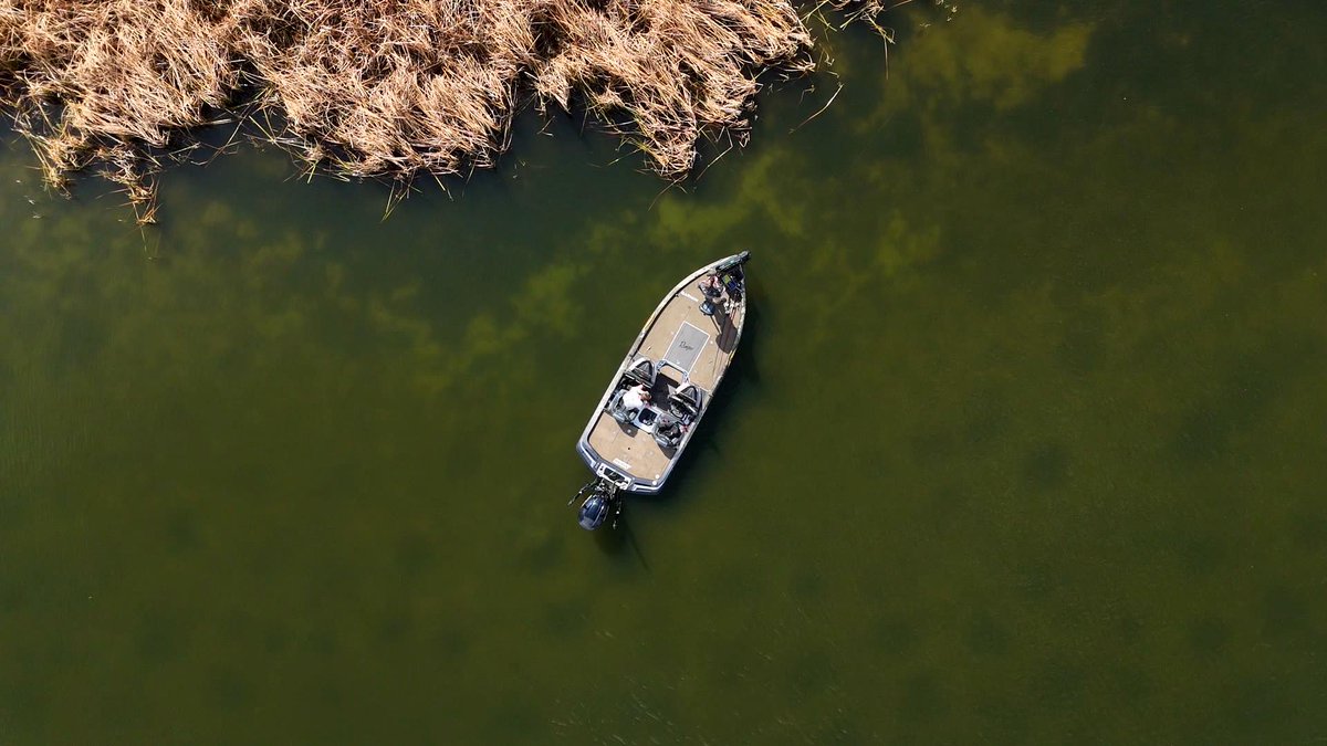 FishHandbook's tweet photo. BOAT POSITIONING 

When flipping shallow cover, boat positioning is very important. Items to take into account are your distance from the cover, angle of attack, and more!

#BassProShops #RangerBoats #YamahaOutboards #PowerPole #TotalBoatControl #FishGarmin https://t.co/xPdDy89DJu