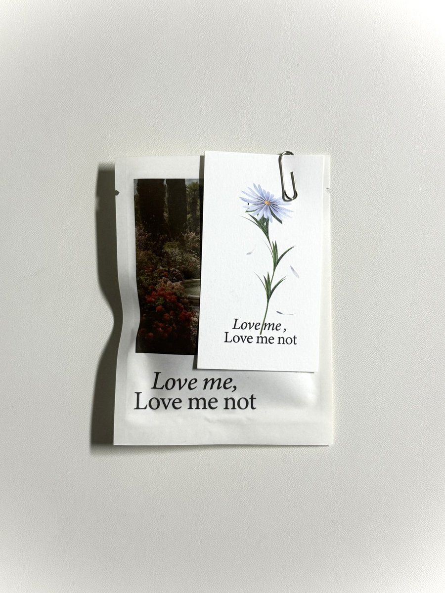wavequai's tweet photo. 도야하우스 Love me, Love me not

나중에 묵호에 가면 꼭 가보고 싶은 티룸 중 하나.ᐟ
다양한 꽃을 블렌딩했지만 각각의 향이 튀지 않아 부담스럽지 않다. 잠들기 전 최고의 선택🫖

#차록차곡 https://t.co/Q5s0x8Jwjo
