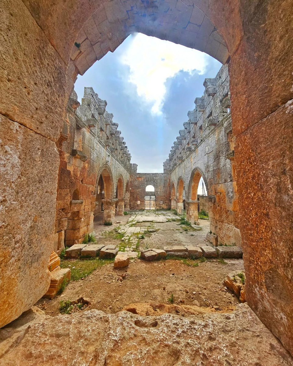 Misty Mountain tweet media