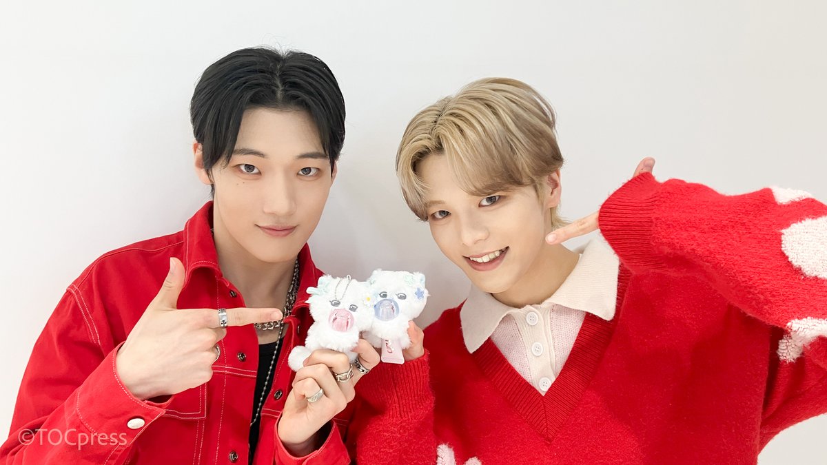 TOCpress【公式】 tweet media