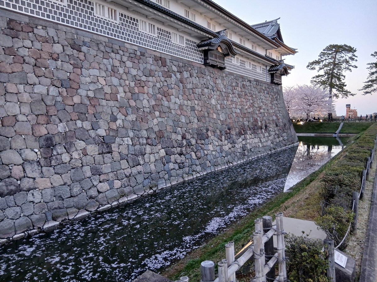 京マチャコ tweet media