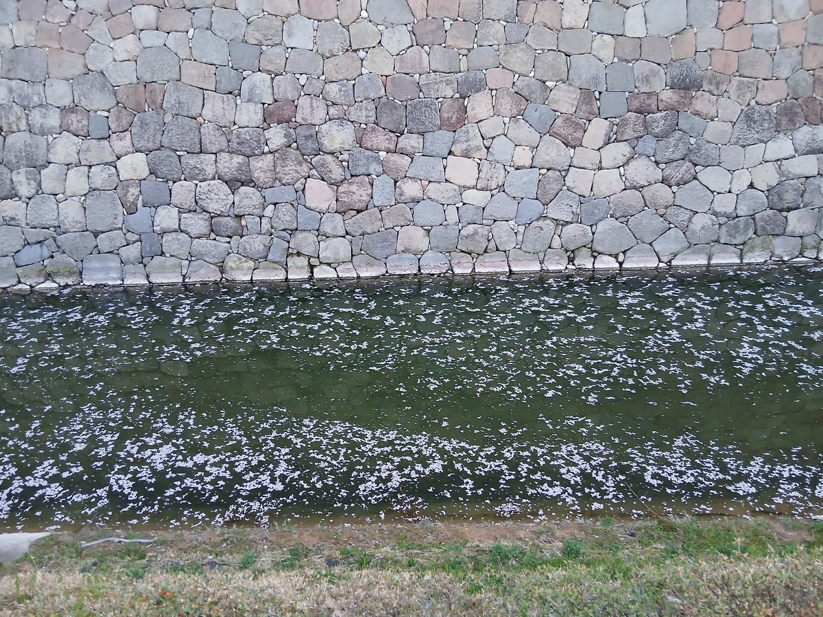 京マチャコ tweet media