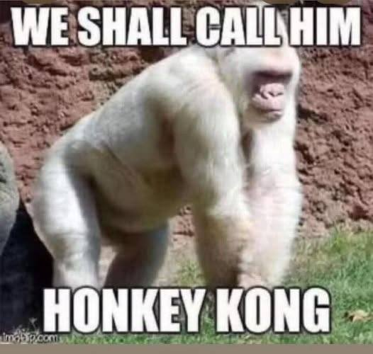 Beau Bryant tweet media