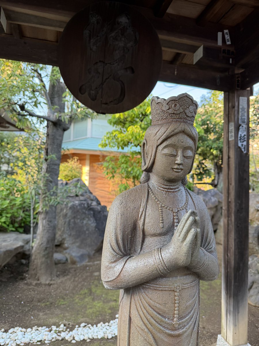 講談師 神田 山緑 tweet media