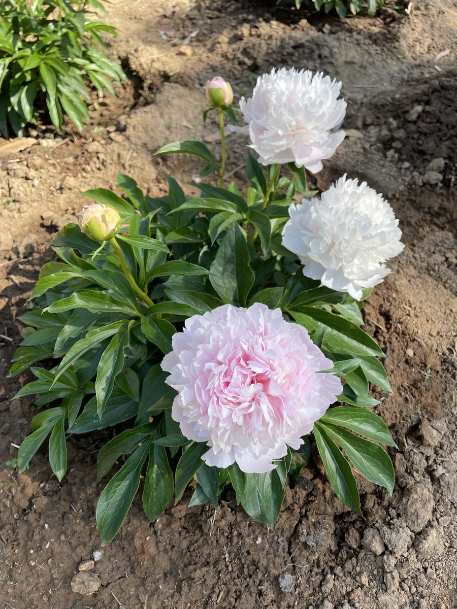 Thank you, sir, for your continued support.